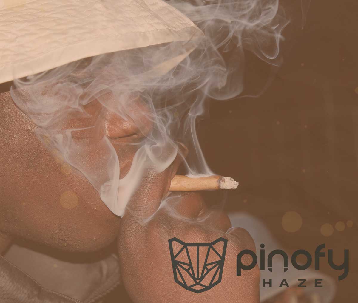 pinofy blunt drehen 2 smoke 1216032